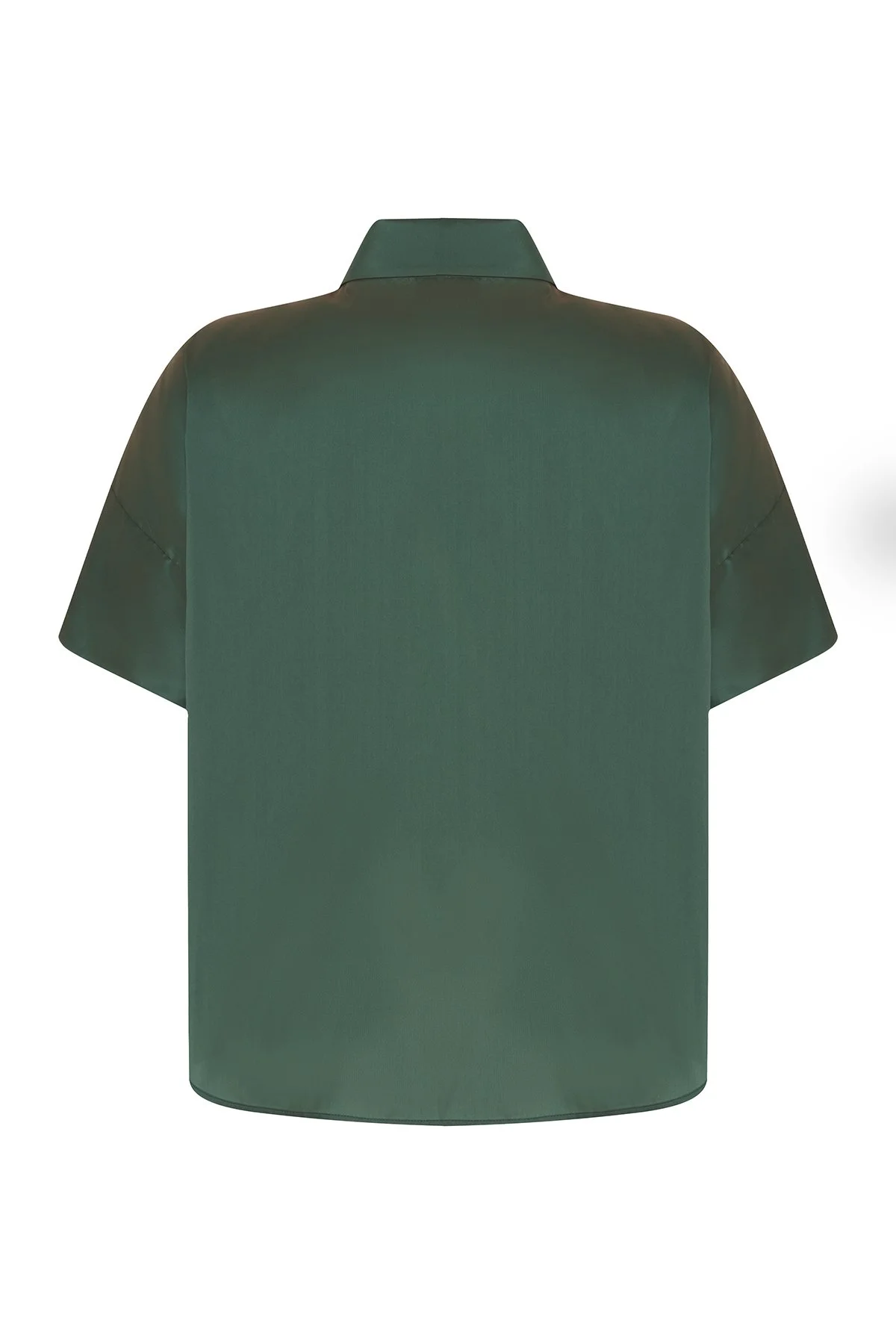 Yakası Payet İşlemeli Tafta Gömlek Yeşil - 2